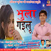 ALBUM - BHULA GAILU -SINGER -MITHILESH GUPTA -BHOJPURI MP3 SONG- (www.anshikamusic.com ) 8860048083 